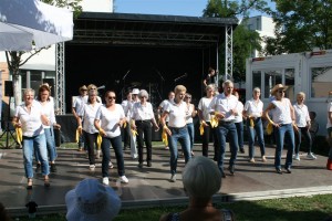 TSK-Bunter Nachmittag LD 30-08-2019 (011)