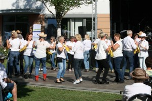 TSK-Bunter Nachmittag LD 30-08-2019 (057)