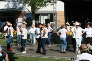 TSK-Bunter Nachmittag LD 30-08-2019 (073)