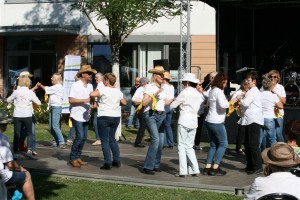 TSK-Bunter Nachmittag LD 30-08-2019 (078)